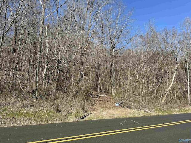 TBD Hurricane Rd, New Market AL, 35761 land for sale