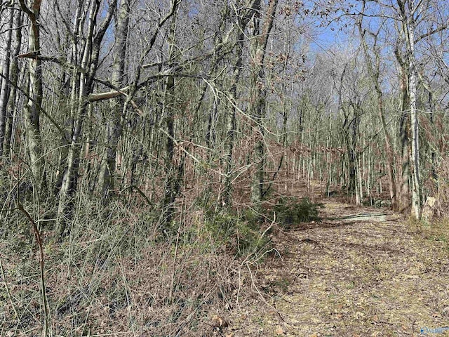 Listing photo 2 for TBD Hurricane Rd, New Market AL 35761