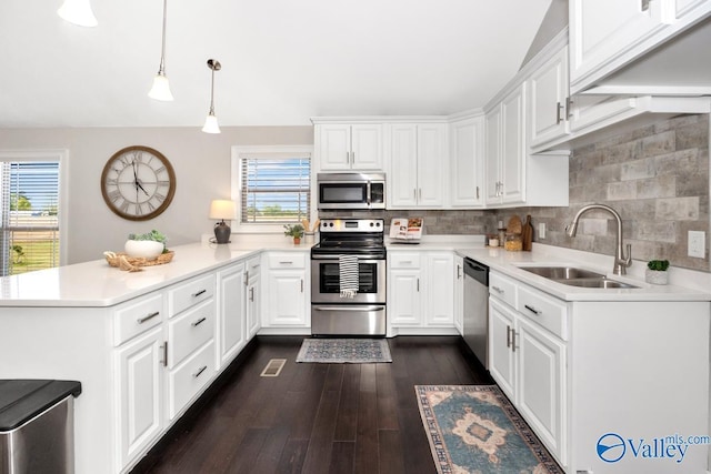 24188 Newby Rd, Madison, AL 35756 - kitchen with a peninsula, plenty of natural light, appliances with stainless steel finishes, and a sink