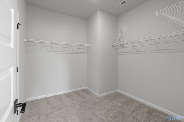 walk in closet with light colored carpet