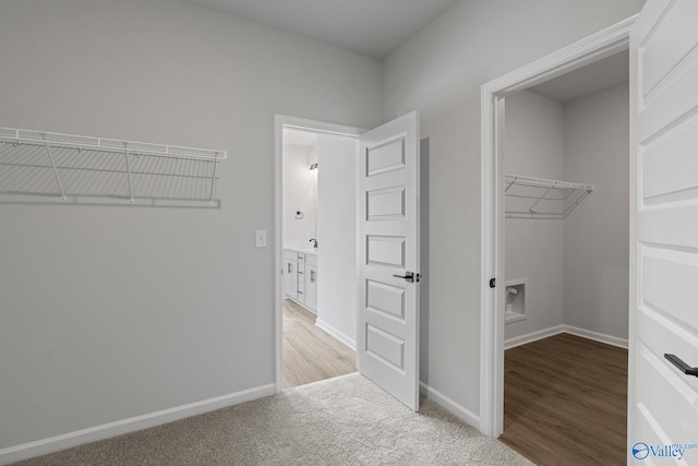 walk in closet featuring light colored carpet