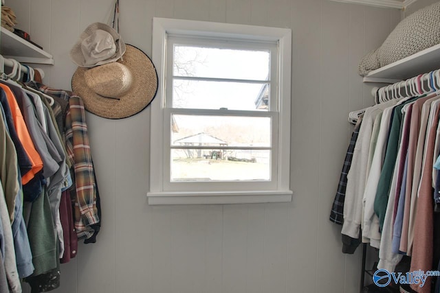 view of walk in closet