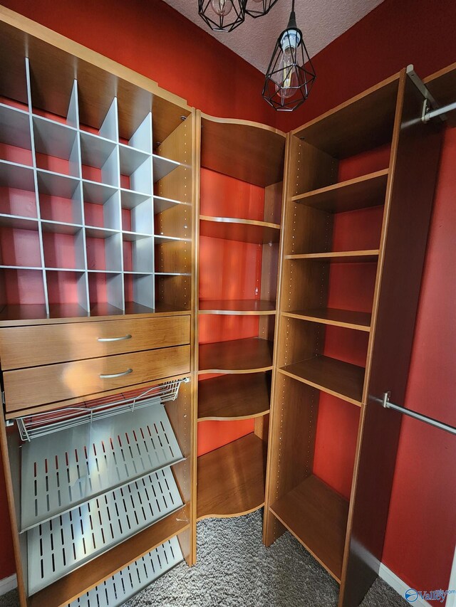 walk in closet with carpet
