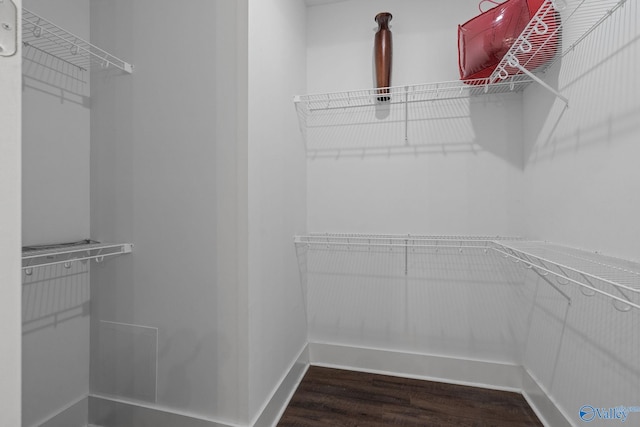 walk in closet featuring dark hardwood / wood-style flooring