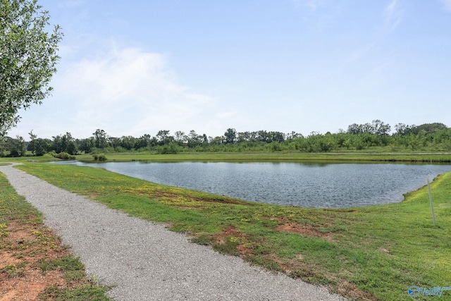 view of water feature