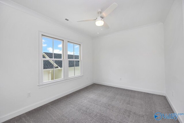 spare room with crown molding, ceiling fan, and carpet floors