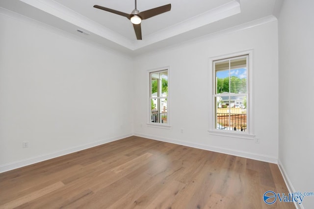 empty room featuring plenty of natural light, light hardwood / wood-style flooring, and a tray ceiling