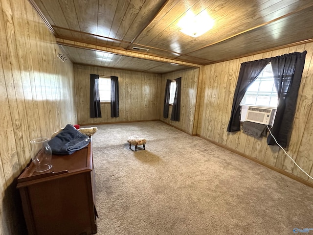 interior space with wooden walls, wood ceiling, and a healthy amount of sunlight