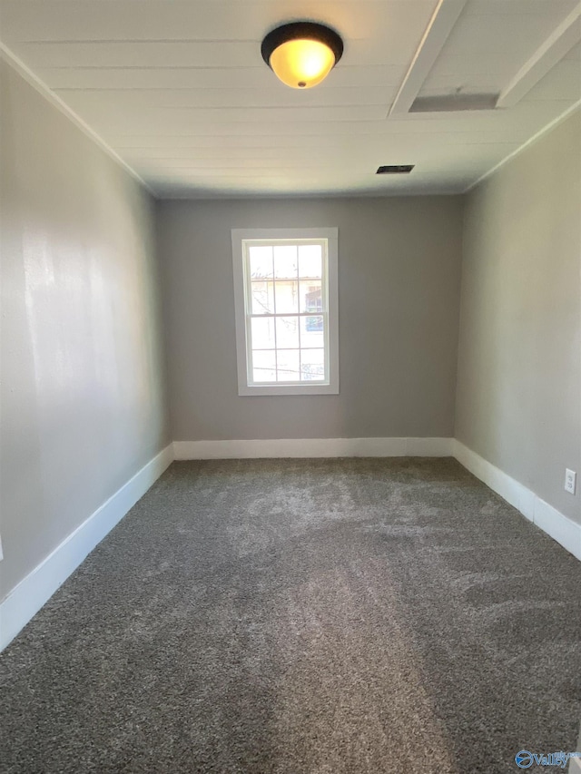 empty room featuring carpet floors