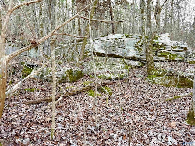 view of local wilderness with a wooded view