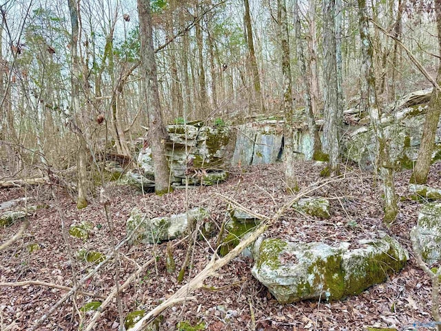 view of local wilderness featuring a wooded view