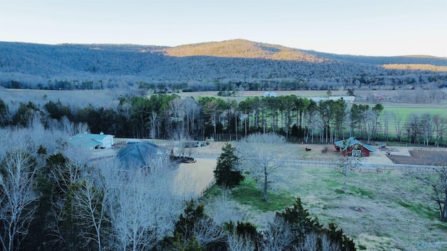 property view of mountains with a rural view and a forest view