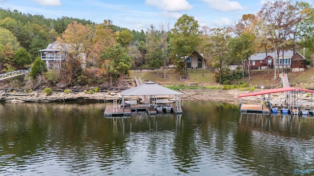 dock area with a water view