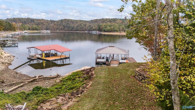 dock area featuring a water view