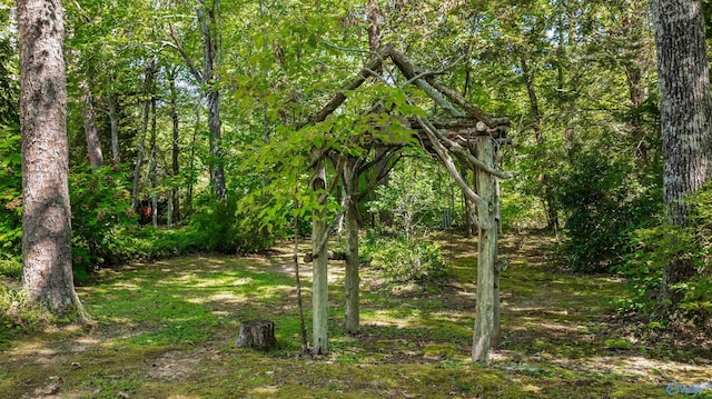 view of local wilderness with a wooded view