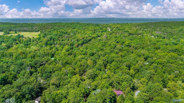 bird's eye view with a wooded view