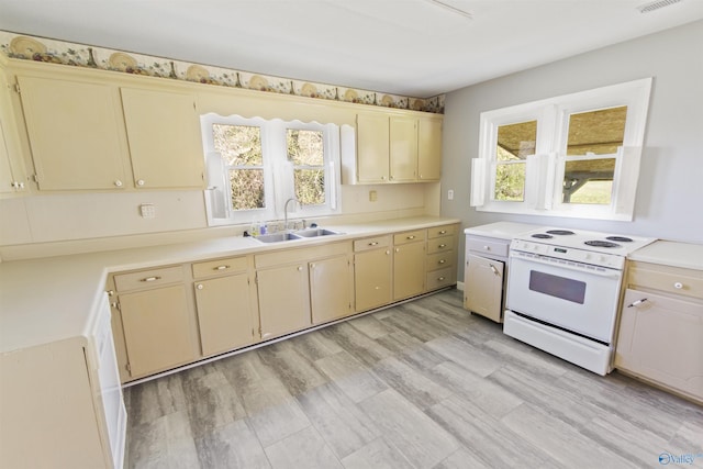 15766 Alabama Highway 79, Scottsboro, AL 35768 - kitchen featuring white electric stove, light countertops, a sink, and healthy amount of natural light