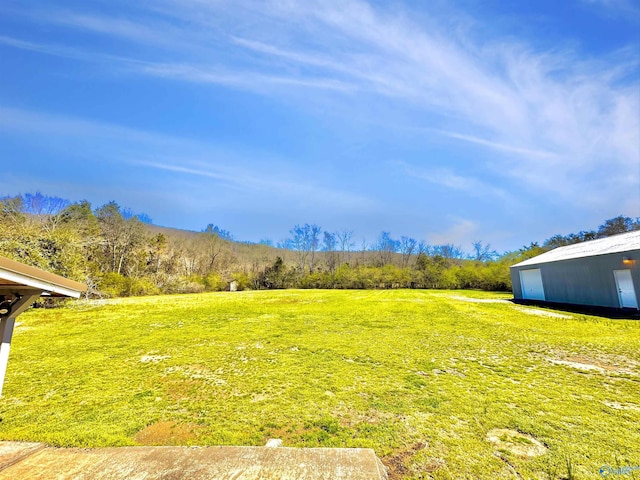 15766 Alabama Highway 79, Scottsboro, AL 35768 - view of grassy yard