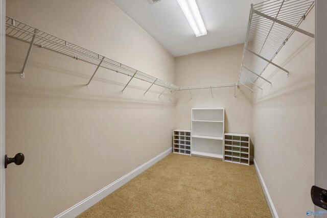 spacious closet with carpet floors