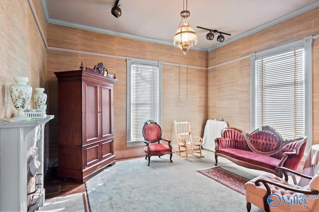 living area featuring light colored carpet, rail lighting, a wealth of natural light, and wooden walls