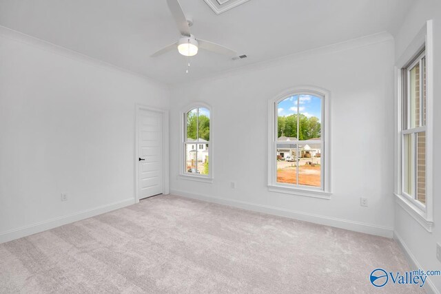 unfurnished room featuring crown molding, light carpet, and ceiling fan