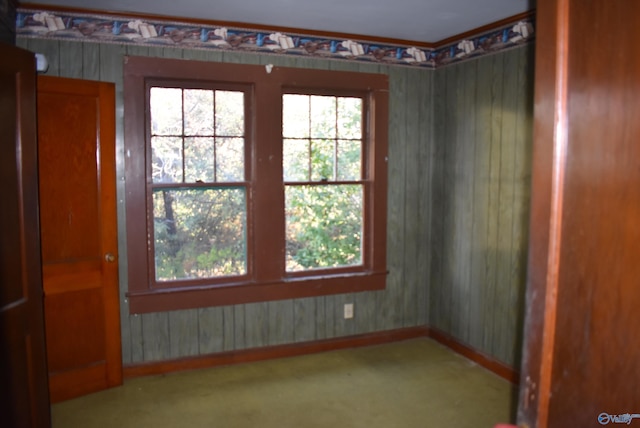 unfurnished room featuring carpet floors