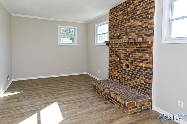 interior space with ornamental molding and dark wood-type flooring