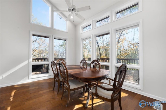 dining room featuring plenty of natural light and dark hardwood / wood-style flooring