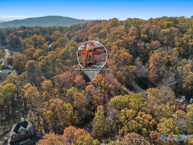 drone / aerial view with a mountain view