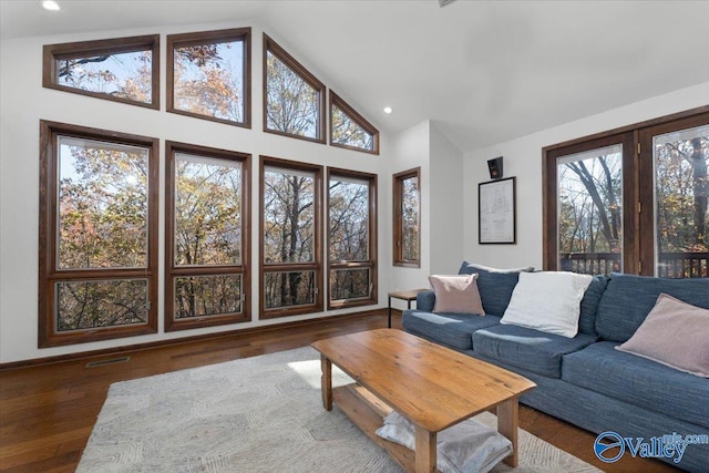 living room featuring dark hardwood / wood-style flooring, high vaulted ceiling, and a healthy amount of sunlight