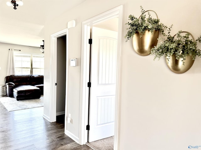 corridor with dark hardwood / wood-style floors