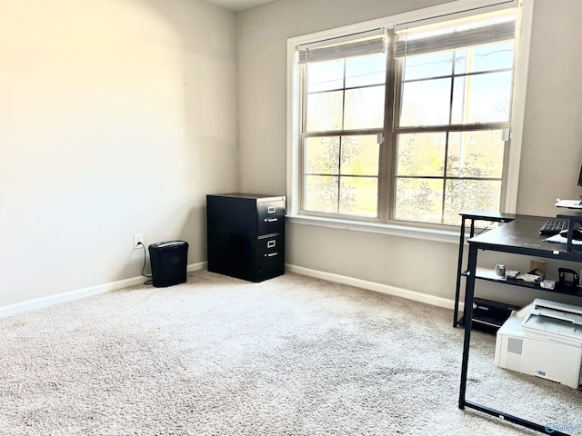 misc room with plenty of natural light and carpet