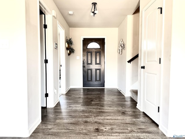 foyer with dark hardwood / wood-style flooring