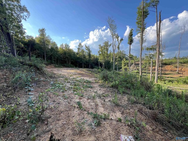15AC County Road 700, Cullman, AL 35055
