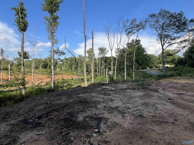 15AC County Road 700, Cullman, AL 35055