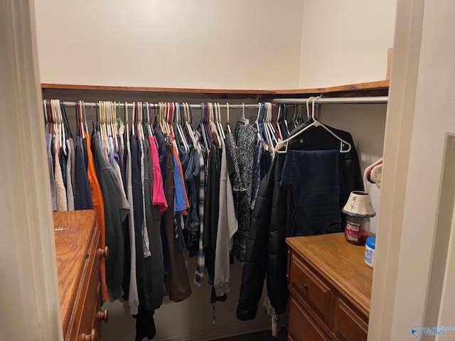 view of spacious closet