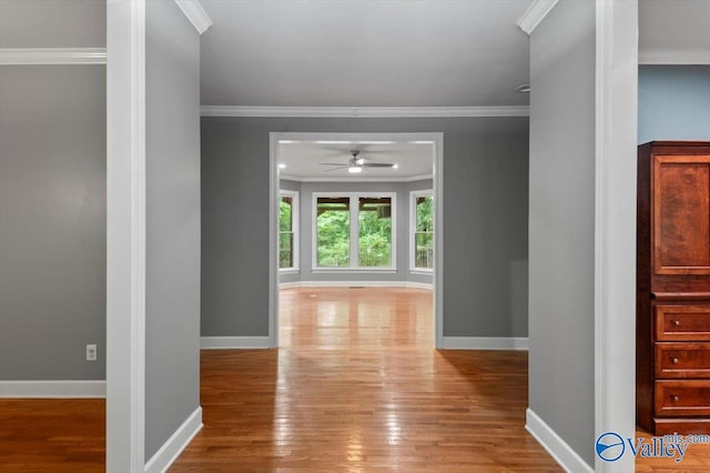 hallway with crown molding and light hardwood / wood-style flooring