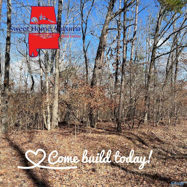 Listing photo 2 for LOT17 County Road 620, Cedar Bluff AL 35959