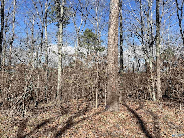 Listing photo 3 for LOT17 County Road 620, Cedar Bluff AL 35959