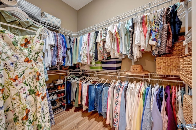 spacious closet featuring wood finished floors