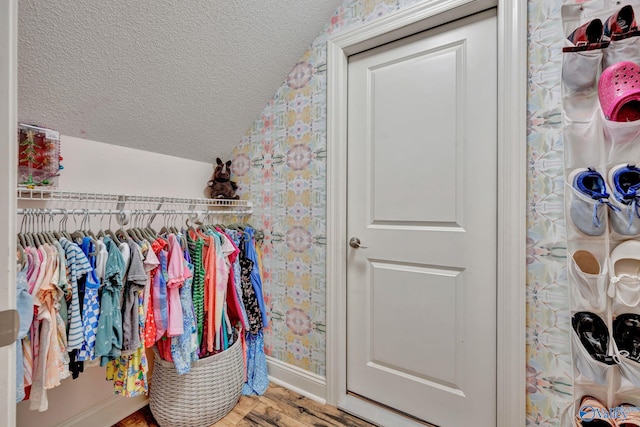 walk in closet featuring vaulted ceiling and wood finished floors