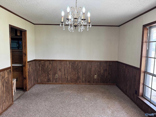 unfurnished room with a wainscoted wall, carpet floors, wood walls, and a textured ceiling