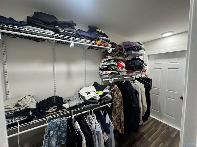 spacious closet featuring dark wood-type flooring