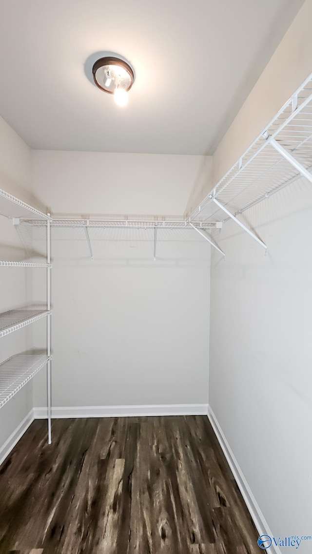 walk in closet with wood finished floors