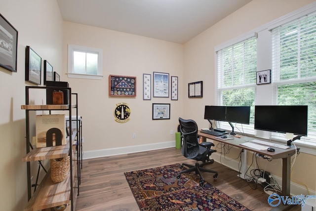 home office with hardwood / wood-style flooring