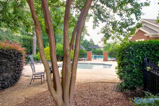 view of yard with a patio area