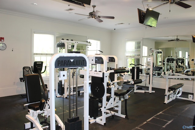 exercise room with crown molding and ceiling fan