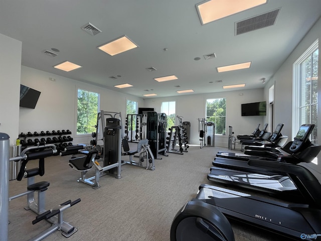 exercise room featuring a wealth of natural light