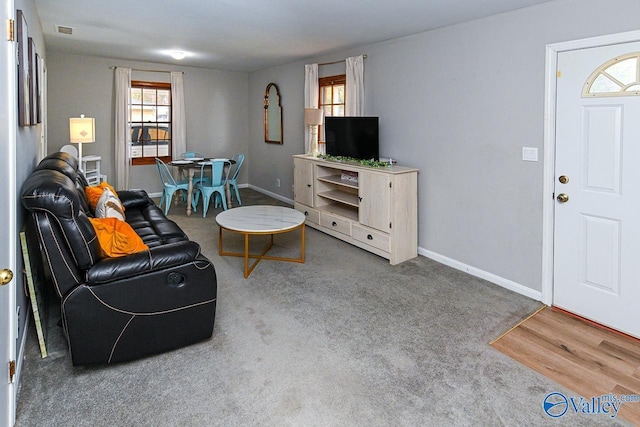 carpeted living room featuring a wealth of natural light