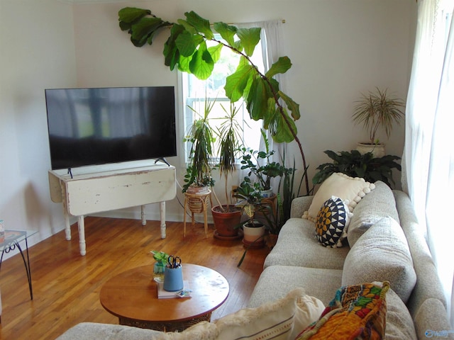 living room with hardwood / wood-style floors